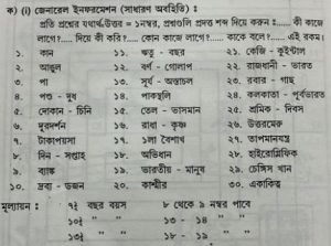Capture 11 শিশুর বুদ্ধির পরিমাপের ভিন্ন কিছু পথ ও প্রথা